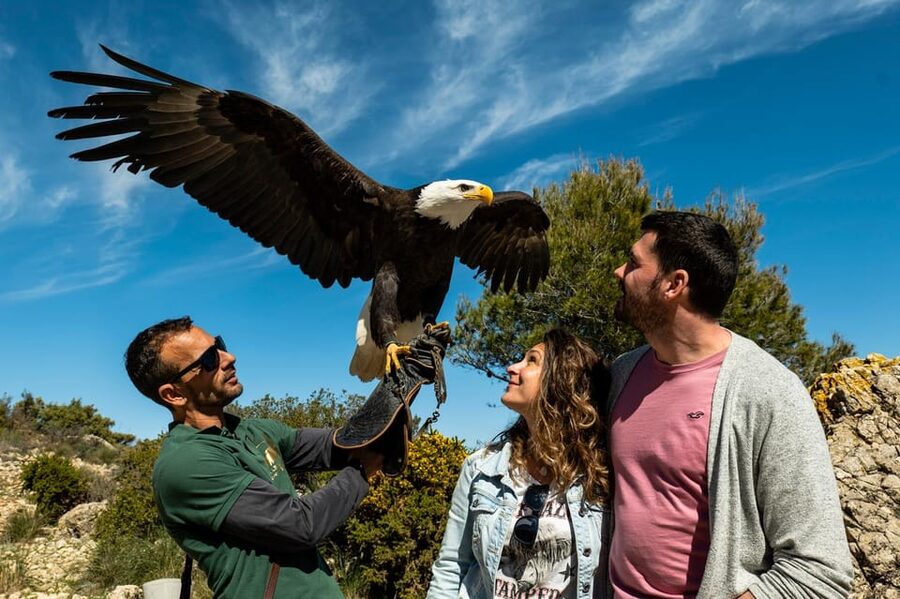 Benalmádena: Mount Calamorro Cable Car Ticket - Families, older visitors, and wheelchair users