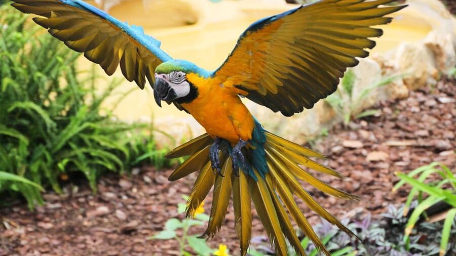 Benalmadena: Selwo Marina Admission Ticket - Animal encounters and conservation messages