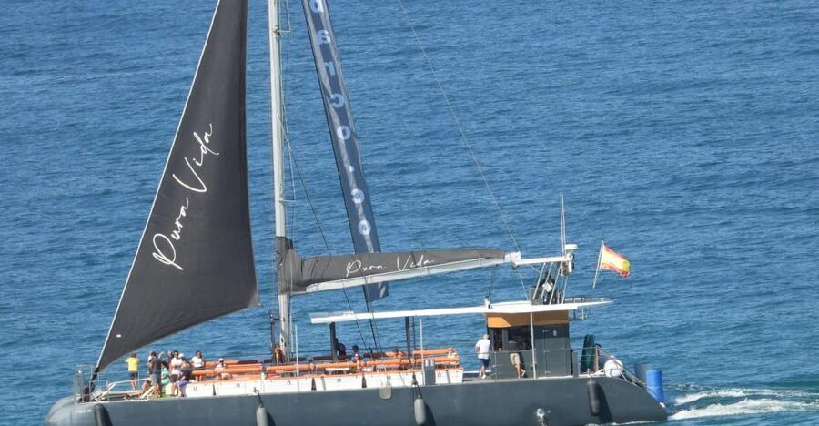 Cádiz: Bay of Cádiz Catamaran Tour with Host - What This Cádiz Catamaran Ride Is Really Like