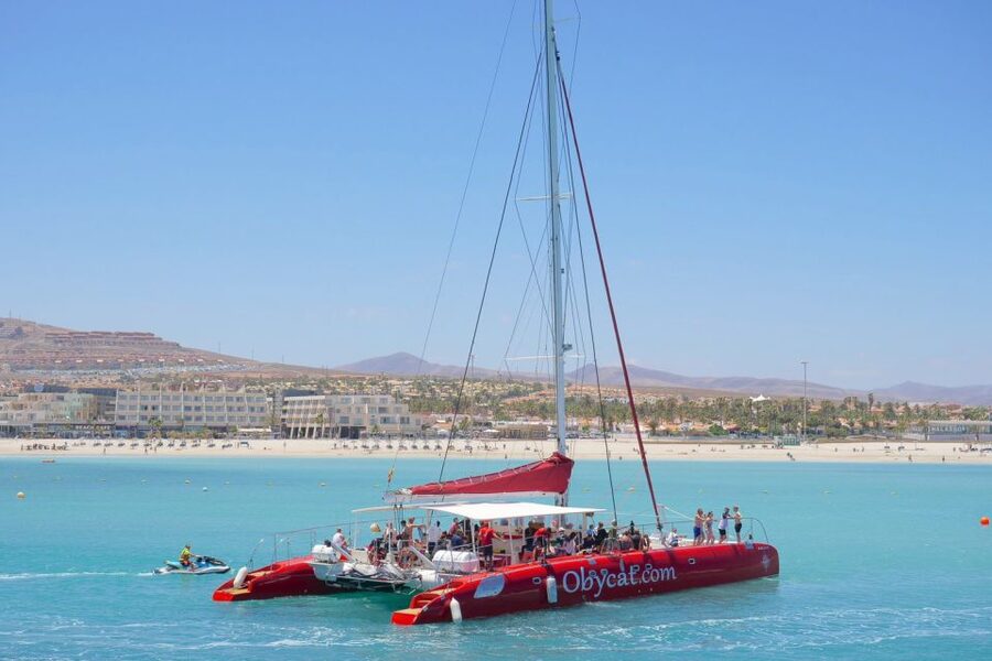 Caleta de Fuste: Catamaran Sailing Experience - The coastal route and chances for wildlife