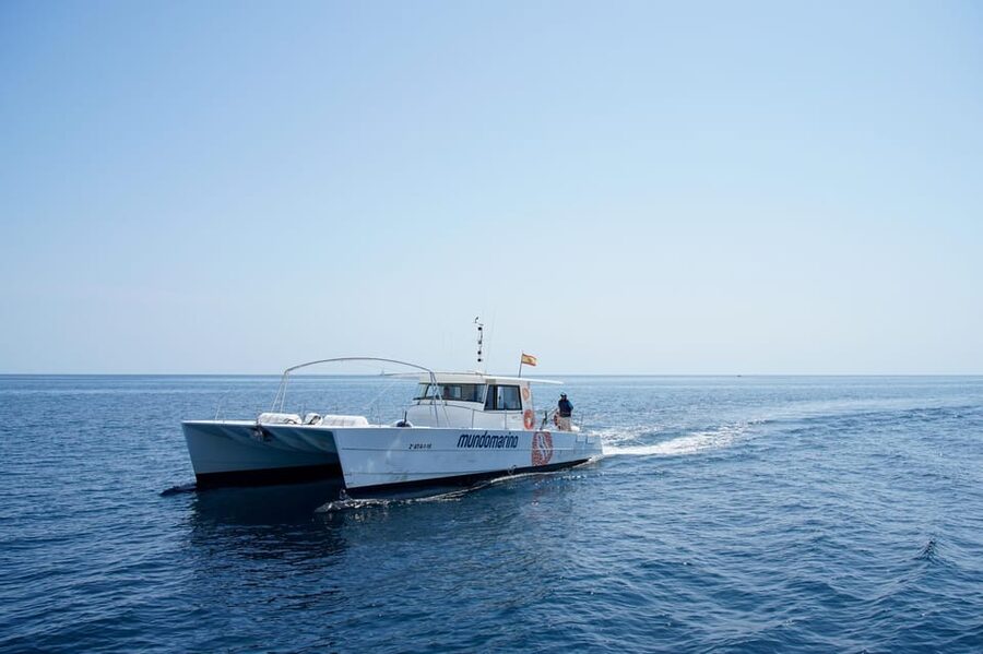 Calpe: Catamaran Tour with Optional Swim Stop - Choosing between the scenic cruise and swim stop