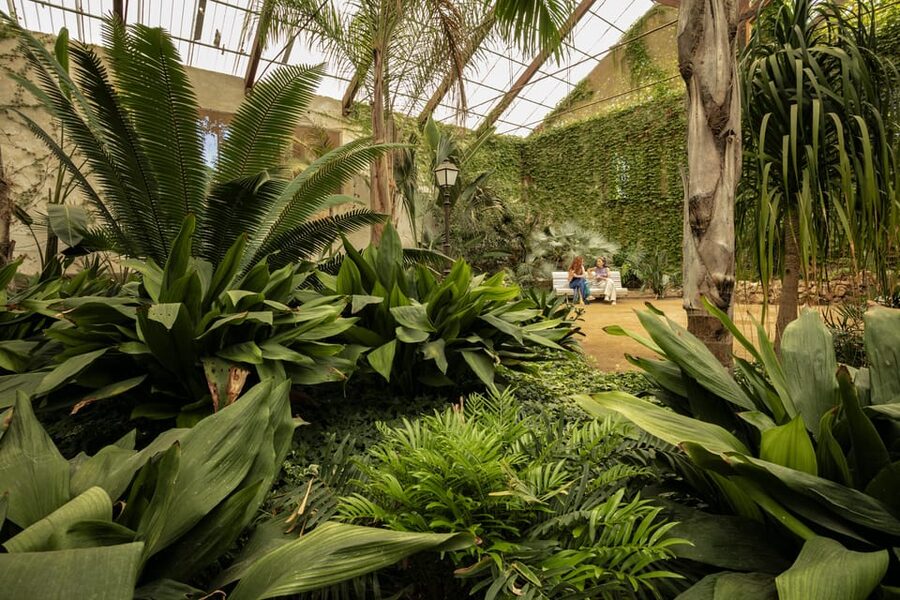 Cambrils: Parc Samà Entry Ticket - Mas del Miu Oil Museum