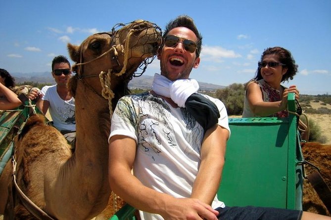 Camel Riding in Maspalomas Dunes - Crossing the Maspalomas Dunes