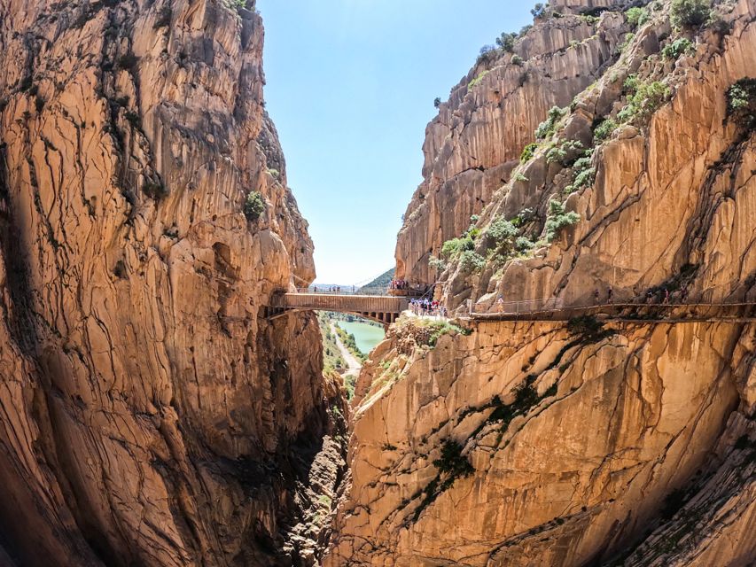 Caminito del Rey: Entry Ticket and Guided Tour - Wildlife, plants, and old engineering