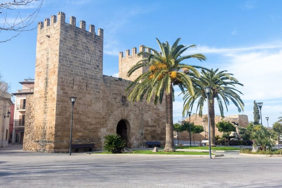 Cap de Formentor: Market, Beach, and Alcudia Tour - Morning pickup from the south of Mallorca