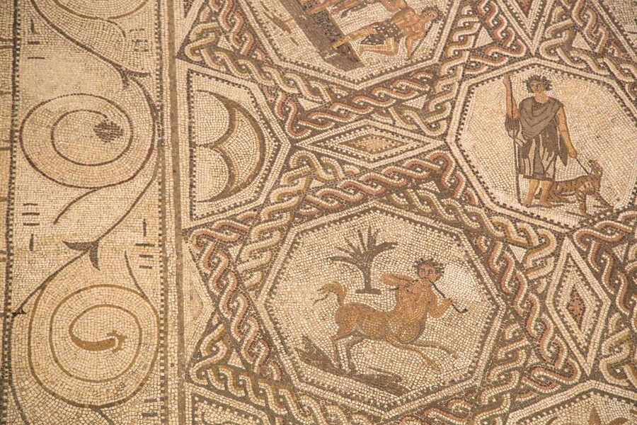 Casa de Salinas Entry Ticket with Audio Guide - A Roman mosaic inside the mansion