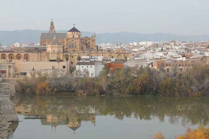 Cordoba & Carmona with Mezquita, Synagoge & Patios from Seville - How the guides shape the experience