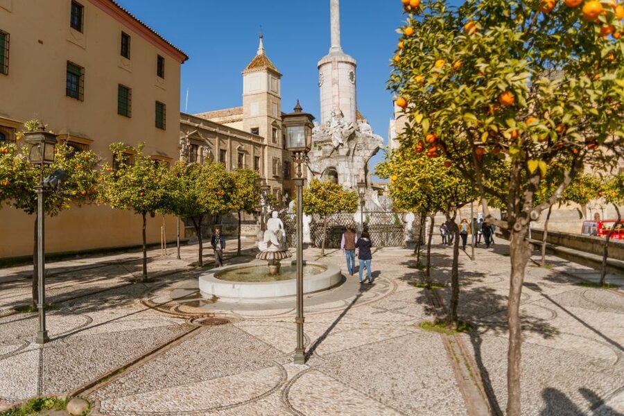 Córdoba: City Sightseeing Hop-On Hop-Off Bus Tour - Audio commentary, views, and the practical weak spots