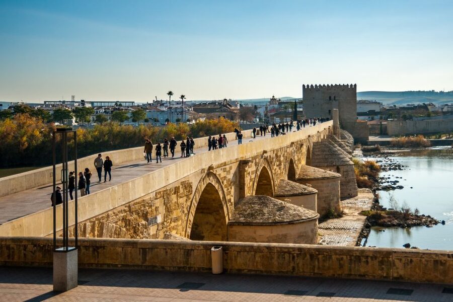 Córdoba: City Sightseeing Hop-On Hop-Off Bus Tour - Who should book it?