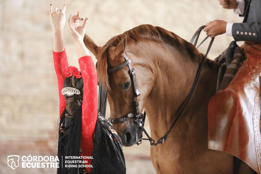 Cordoba: Equestrian Show General Entry - Why this horse show feels distinctly Andalusian