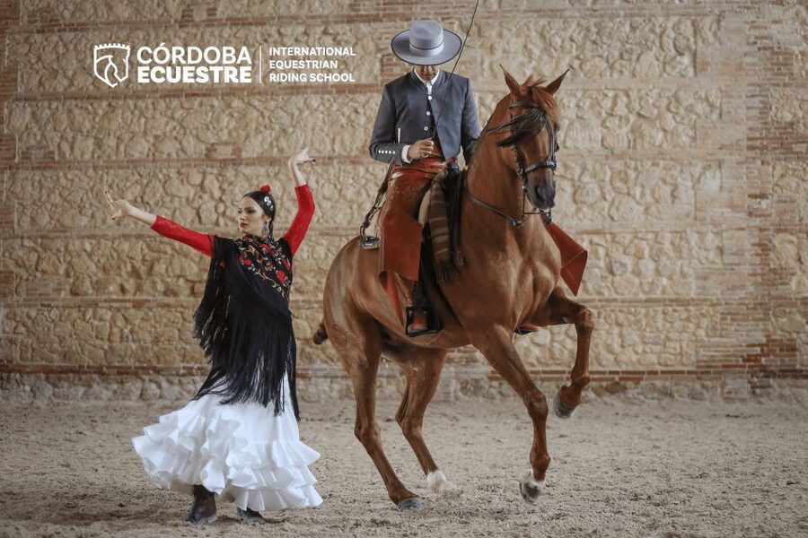 Cordoba: Equestrian Show General Entry - Add the pre-show stable visit if it is offered