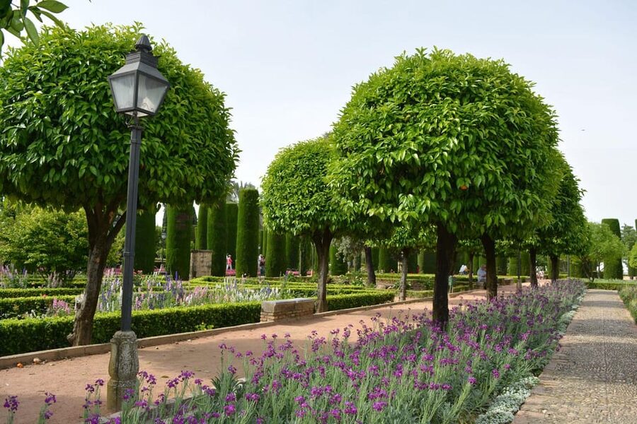 Cordoba: Monuments Walking Tour - Who should book this Córdoba tour?
