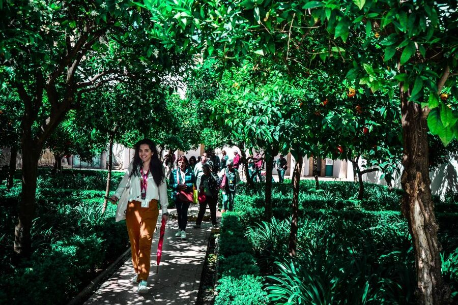 Córdoba: Mosque-Cathedral and Alcazar Tour - Dress, bags, and family logistics
