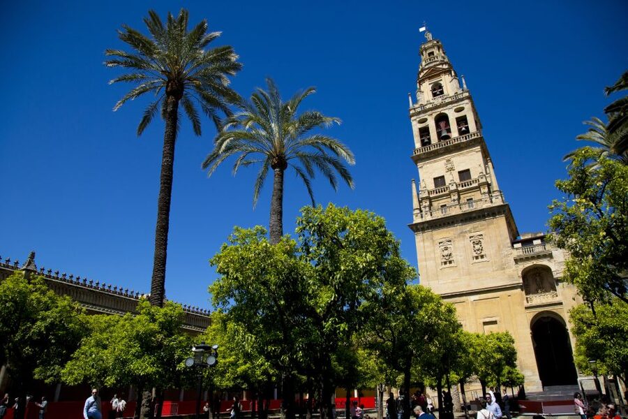 Córdoba: Mosque-Cathedral, Jewish Quarter and Alcázar Tour - Should you book it?