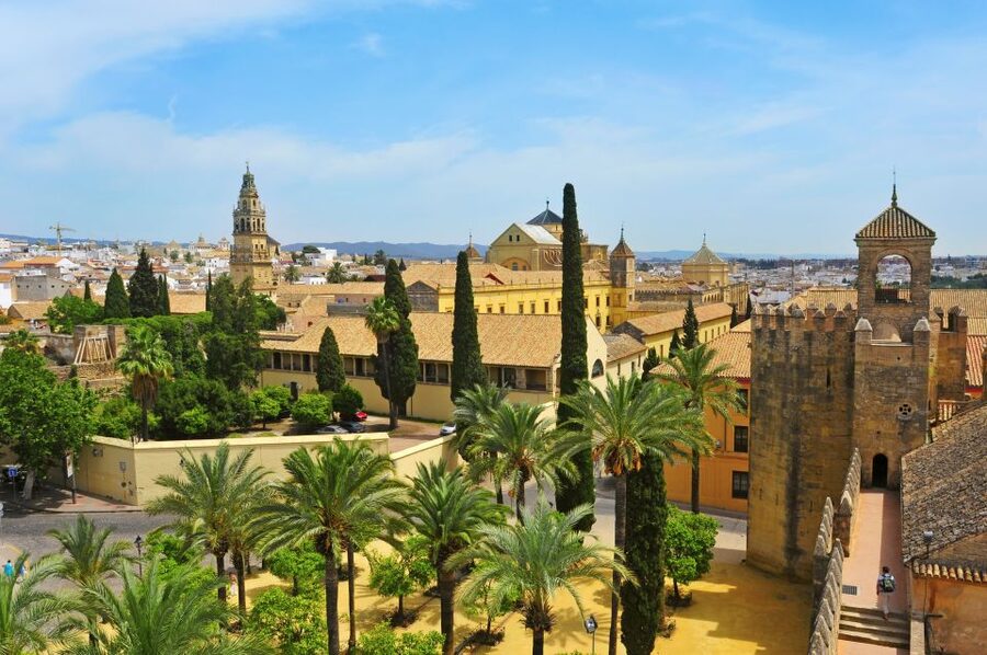 Cordoba Mosque & Jewish Quarter Tour with Tickets - Who should book this experience
