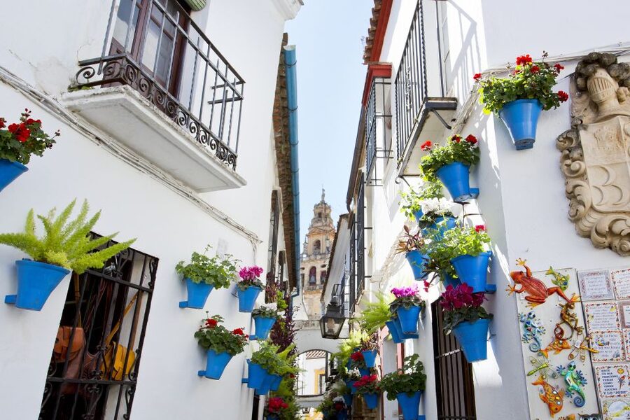 Cordoba Mosque & Jewish Quarter Tour with Tickets - Walking through the Jewish Quarter