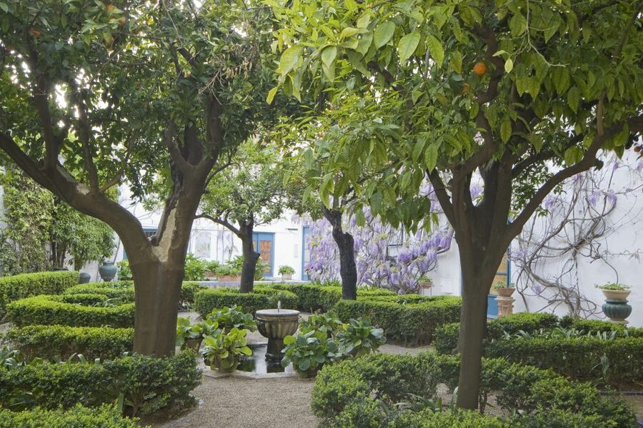 Córdoba: Viana Palace Gardens and Patios Entry Ticket - The 12 patios, from Roman hints to Moorish character