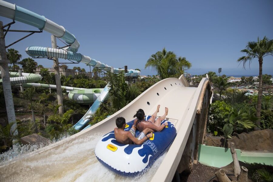Costa Adeje: Aqualand Water Park Ticket with Dolphin Show - Who should book this water park?
