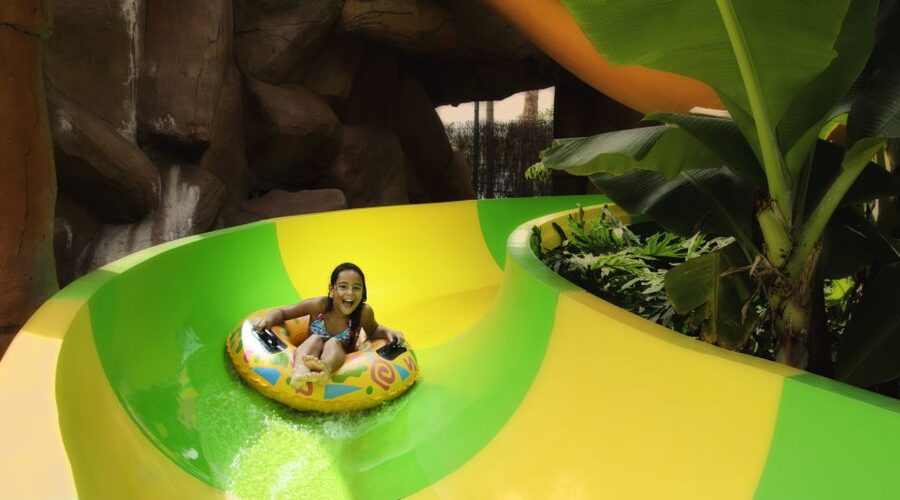 Costa Adeje: Aqualand Water Park Ticket with Dolphin Show - The best time to visit Aqualand Costa Adeje