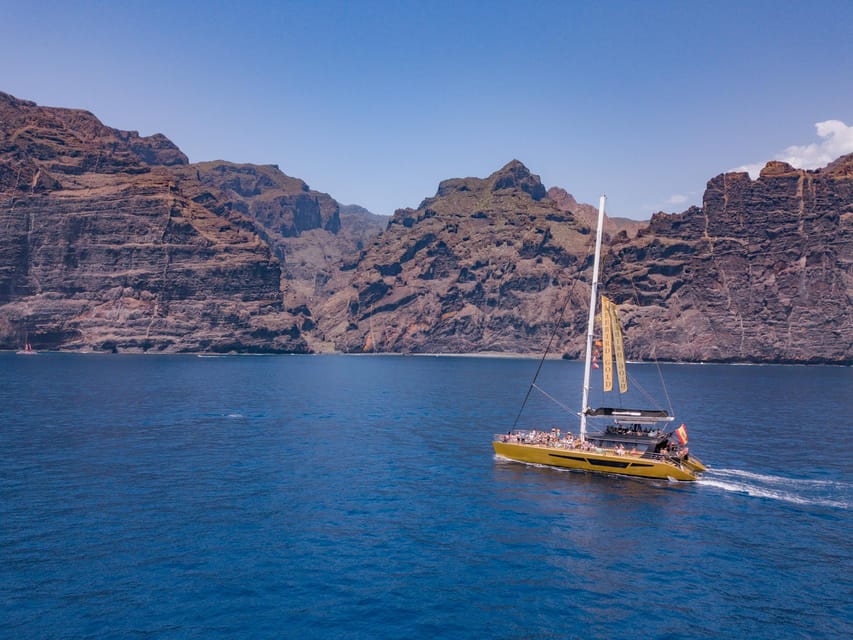 Costa Adeje: Masca and Los Gigantes Whale Watching Cruise - Key points to know before you book