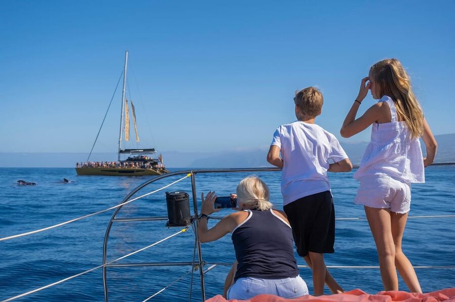 Costa Adeje: Masca and Los Gigantes Whale Watching Cruise - Lunch, drinks, and time on deck