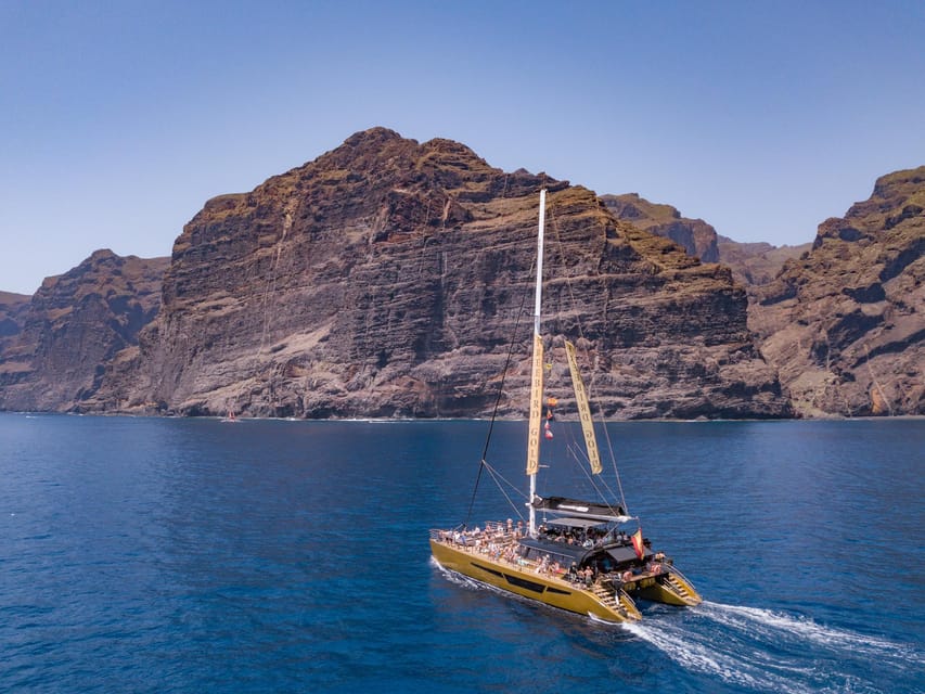 Costa Adeje: Masca and Los Gigantes Whale Watching Cruise - Who will enjoy this cruise most?