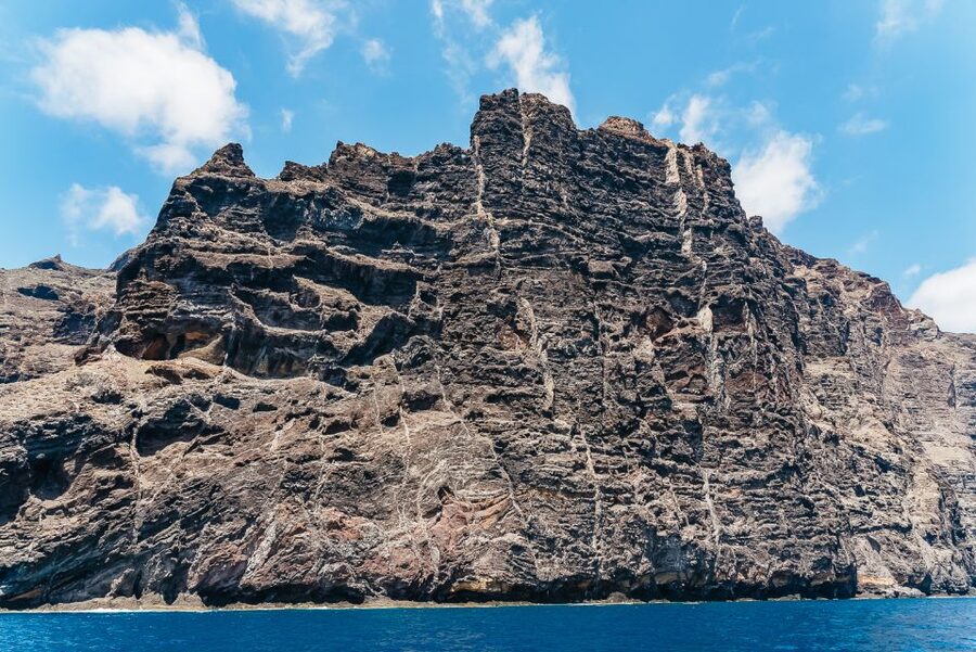 Costa Adeje: Masca and Los Gigantes Whale Watching Cruise - Practical advice for a smoother day