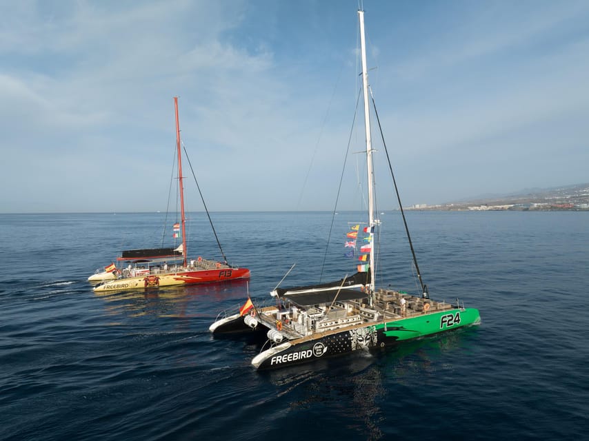 Costa Adeje: Masca and Los Gigantes Whale Watching Cruise - Watching whales and dolphins off Tenerife