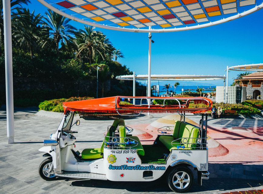 Costa Adeje: Secret Volcano Tuk Tuk Tour - The uphill road and the story beneath the soil