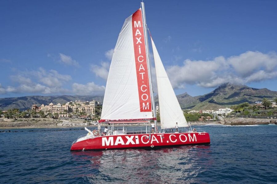 Costa Adeje: Whale and Dolphin Cruise with Food and Pickup - Meeting the MAXICAT at Puerto Colon