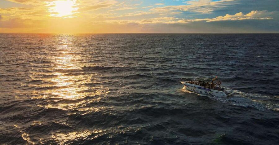 Costa Adeje: Whale and Dolphin-Watching Boat Excursion - A small boat makes a big difference off Costa Adeje