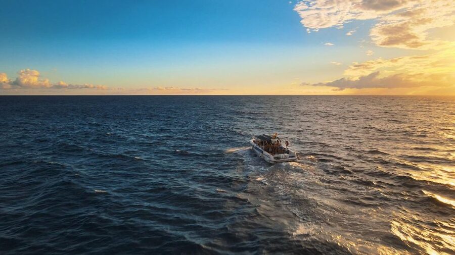 Costa Adeje: Whale and Dolphin-Watching Boat Excursion - Pilot whales, dolphins, turtles, and changing conditions