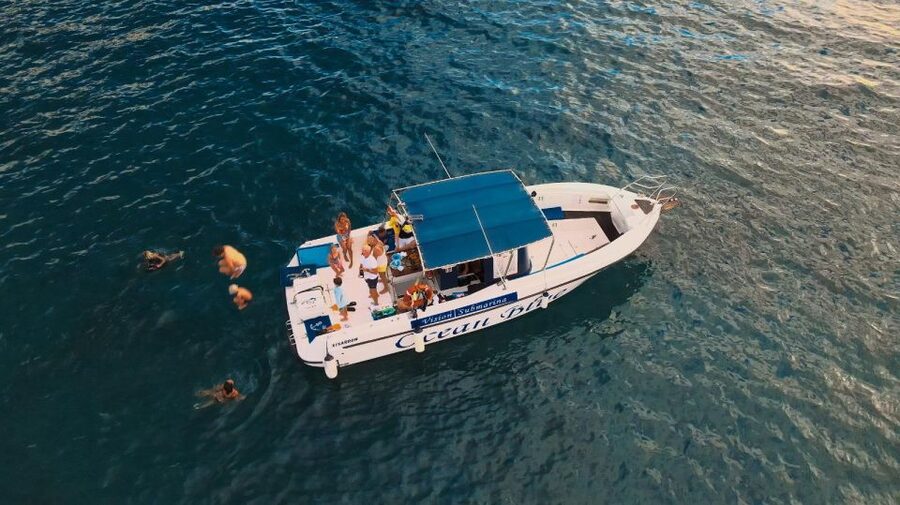 Costa Adeje: Whale and Dolphin-Watching Boat Excursion - Is $35 a good value for two hours?
