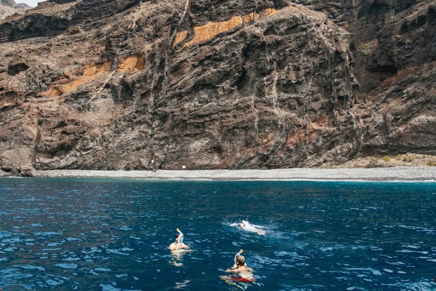 Costa Adeje: Whale & Dolphin Eco-Cruise with Snacks & Drinks - Watching whales in the Teno-Rasca sanctuary