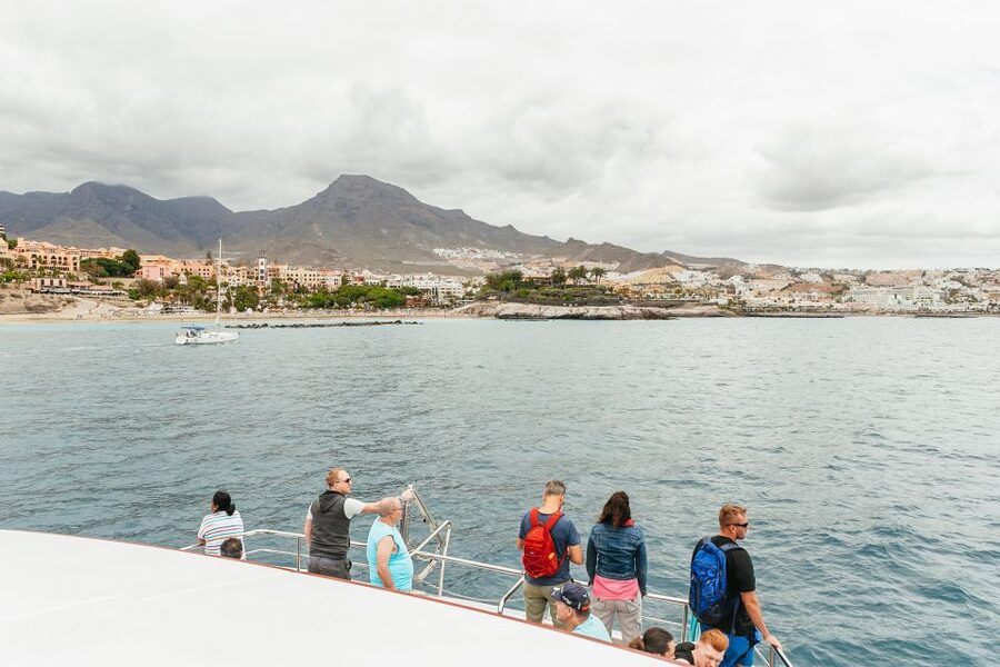 Costa Adeje: Whale & Dolphin Submarine Vision Mini Cruise - Searching Tenerife’s southwest coast