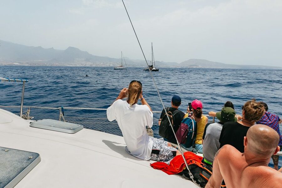 Costa Adeje: Whale Watching Catamaran Tour with Drinks - Drinks, food, and the practical comforts