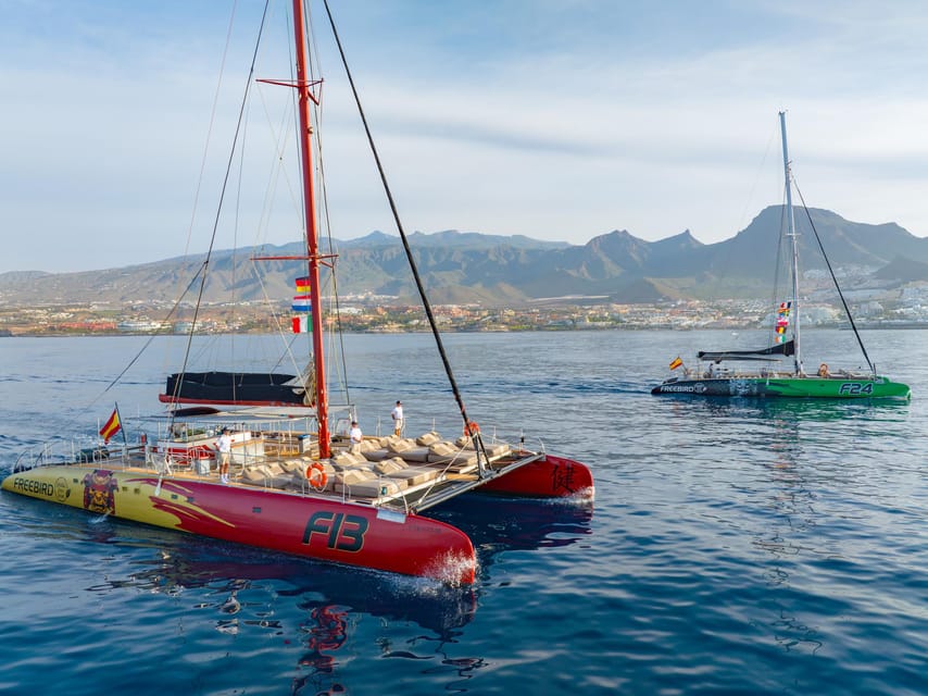 Costa Adeje: Whale Watching Cruise - Key things to know before boarding