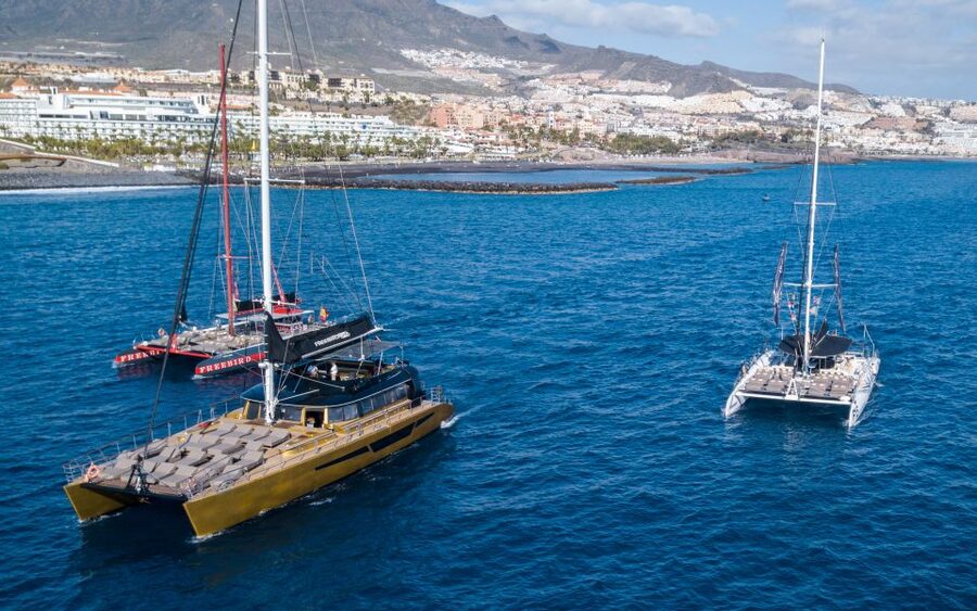 Costa Adeje: Whale Watching Cruise - Sailing from Puerto Colón in Costa Adeje