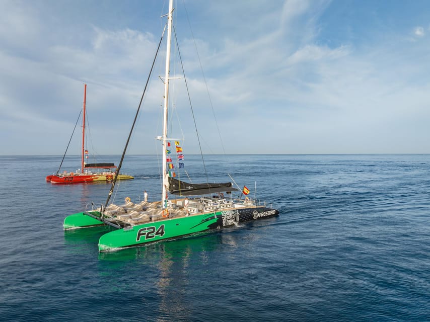 Costa Adeje: Whale Watching Cruise - Looking for pilot whales and dolphins