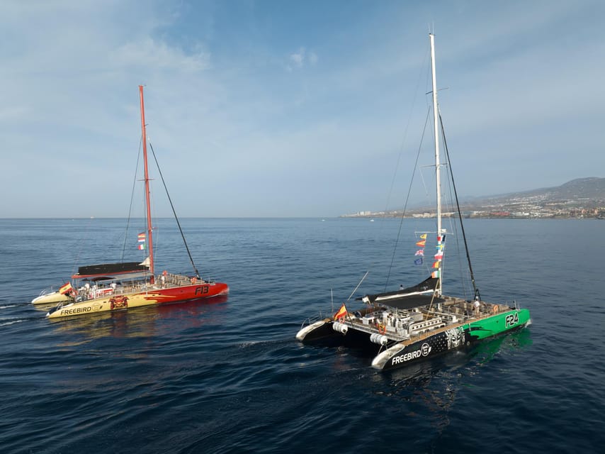 Costa Adeje: Whale Watching Cruise - What to pack for the boat
