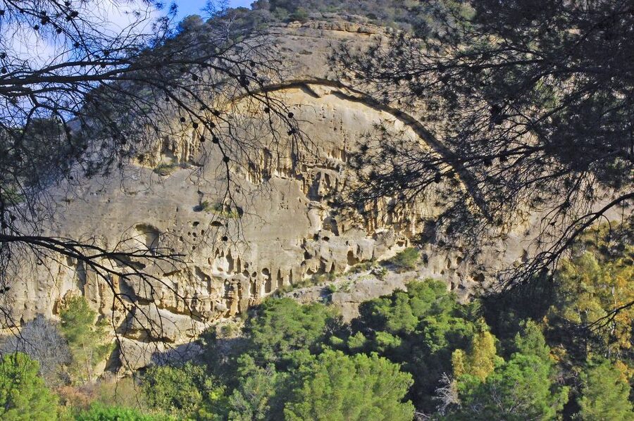 Costa del Sol: Caminito del Rey Guided Trip - Transport, timing, and overall value