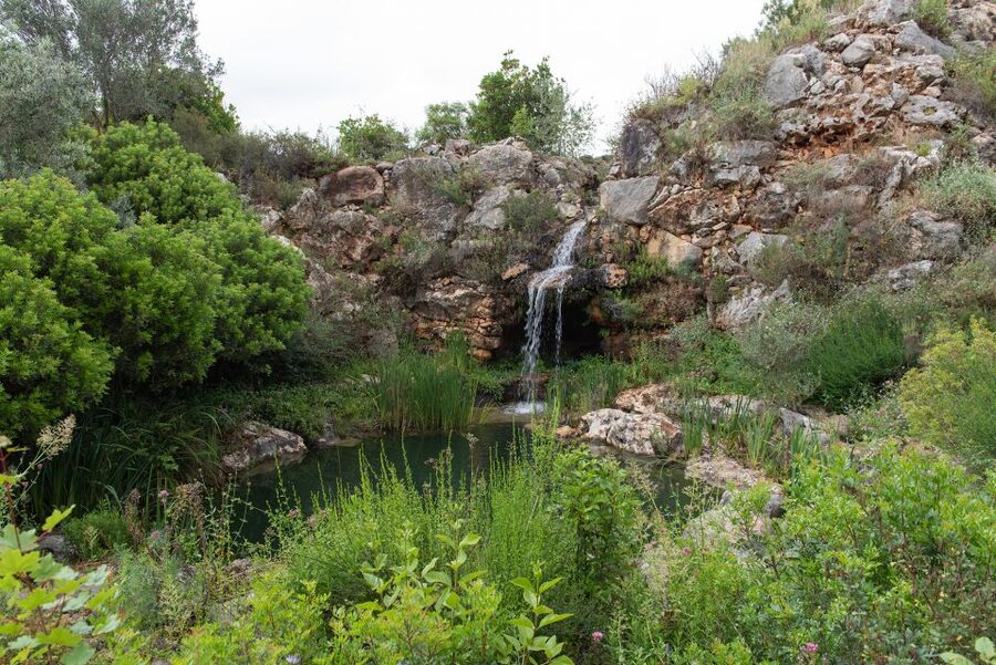 Denia: L'Albarda Garden Entry Ticket - Following paths, pergolas, and water features
