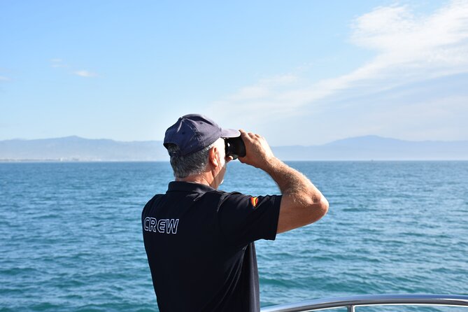 Dolphin Sightseeing Boat Tour from Benalmadena - Searching for dolphins in open water