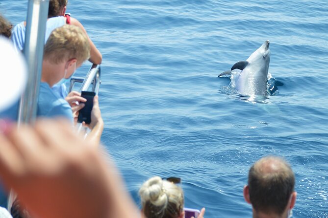 Dolphin Sightseeing Boat Tour from Benalmadena - Cancellation and weather details