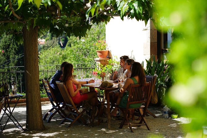 Ebike Tour, Winery, Wine Tasting & Sailing Experience(car option) - Starting at Port Olimpic and following the coast