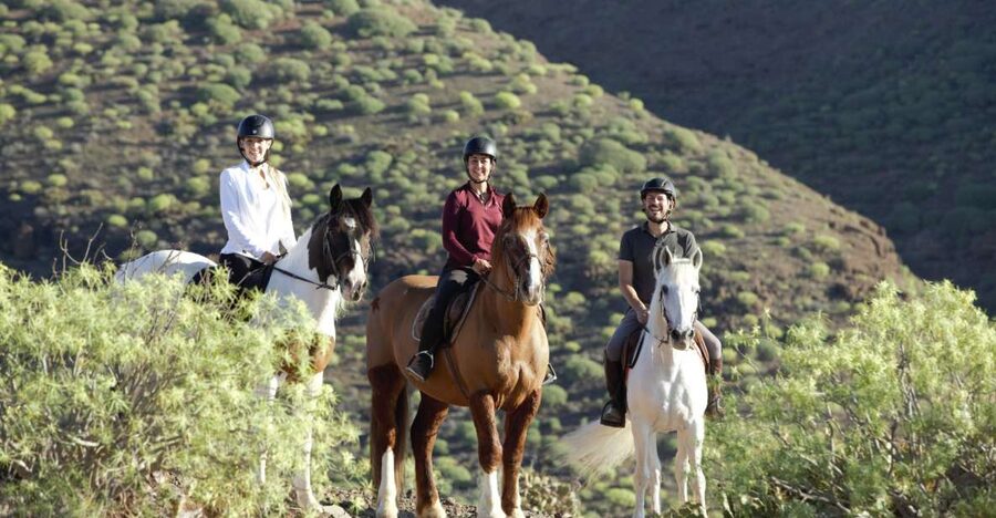 El Salobre: Horse Riding Adventure with Transfer Options - Meeting your horse at El Salobre Horse Riding