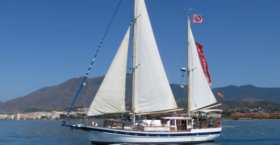 Estepona: Dolphin Watching Sailboat Cruise with Drink - At a glance: what makes this sail worthwhile