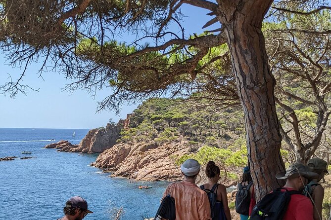 Explore Costa Brava & Tossa de Mar Coastal Trails, Snorkel & Meal - A set-menu lunch that keeps the day moving