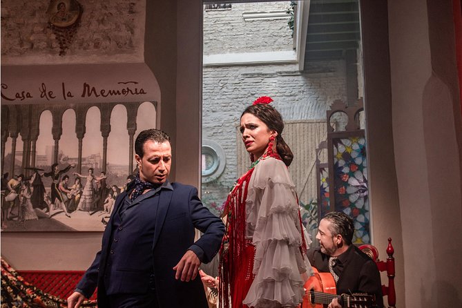 Flamenco Show at Casa de la Memoria Admission Ticket - A one-hour flamenco show in central Seville