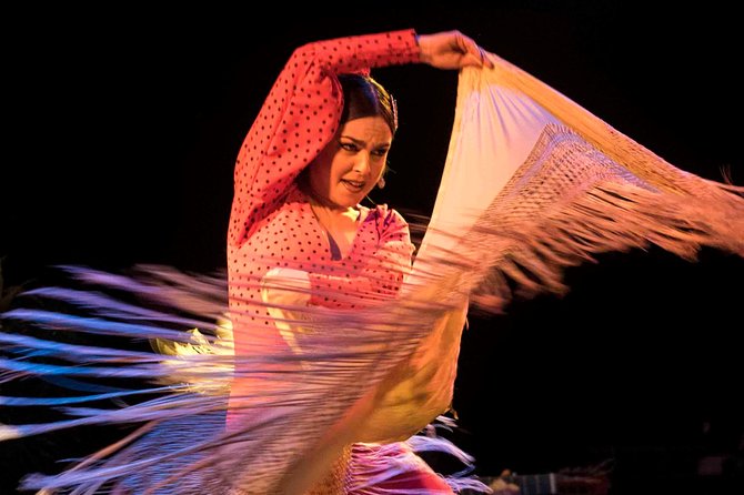 Flamenco Show Ticket at Theatre Barcelona City Hall - What the performers do best